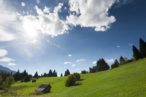Fondo escénico de un hermoso pasto alpino verde bajo el cielo azul salpicado de árboles y una pequeña cabaña de madera pintoresca — Foto de Stock