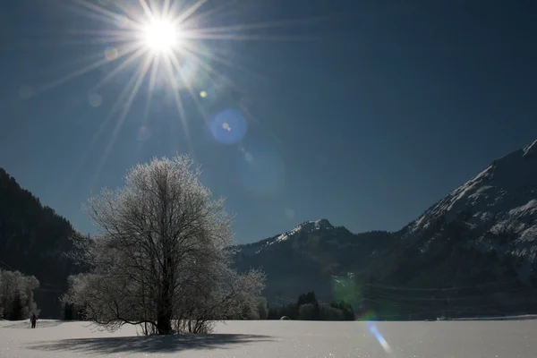 ドロミテと多くの雪の木、太陽、青い空と夢のような冬の風景 — ストック写真