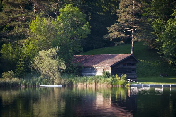 小屋の木と茂みに牧歌的な湖の間に成長しました。 — ストック写真