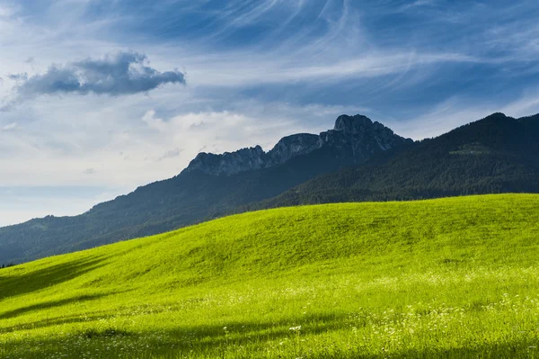 Sunny lush green meadow on the foothills of arugged mountain range, scenic background of natural beauty — Stock Photo, Image