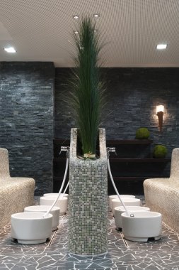 Green plants in a small room divider at a public swimming bath. white ceramic troughs with cold water for a healthy foot bath clipart