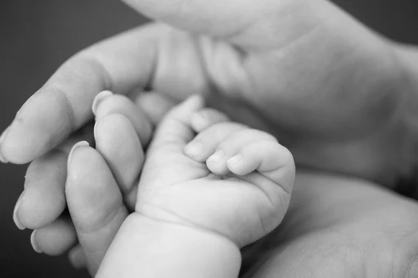 Mão minúscula do bebê recém-nascido e de sua mãe — Fotografia de Stock