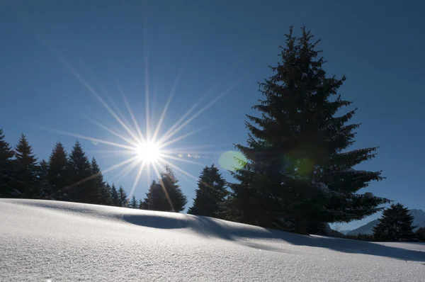 Maravilloso y soñador paisaje de invierno con mucha nieve, árboles, sol y cielo azul — Foto de Stock