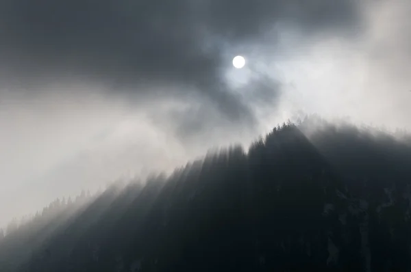 Raze de soare mistice în pădurea cețoasă de pe munte — Fotografie, imagine de stoc