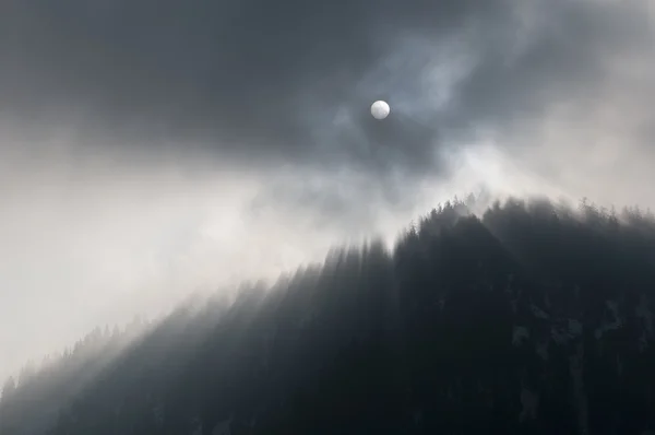 Mystische Sonnenstrahlen im nebligen Wald am Berg — Stockfoto