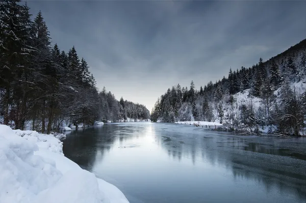 Zobacz do zimowego krajobrazu z mrożone jeziora plansee i śnieżne lasu w tyrol austria — Zdjęcie stockowe