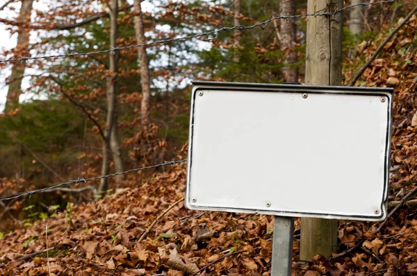 Beyaz self etiketleme için kahverengi düşmüş leafes bir sonbahar orman iz