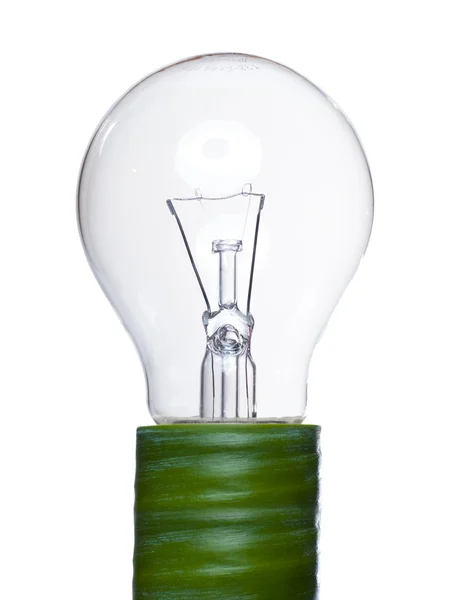 A light bulb with a green leaf as symbol for clean renewable energy on white background — Stock Photo, Image