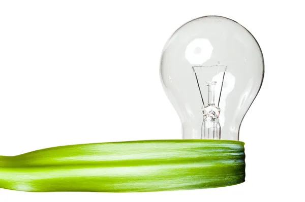 A light bulb with a green leaf ribbon as symbol for clean renewable energy on white background — Stock Photo, Image