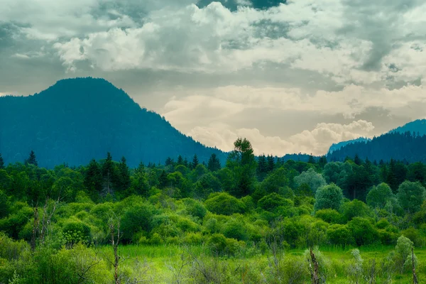 Bulutlu gökyüzü ile dağ önünde yeşil forrest çayır — Stok fotoğraf