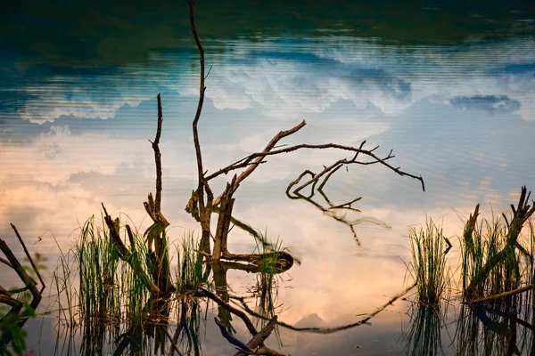 Einige Äste und Gräser im Fluss mit reflektierenden Wolken — Stockfoto