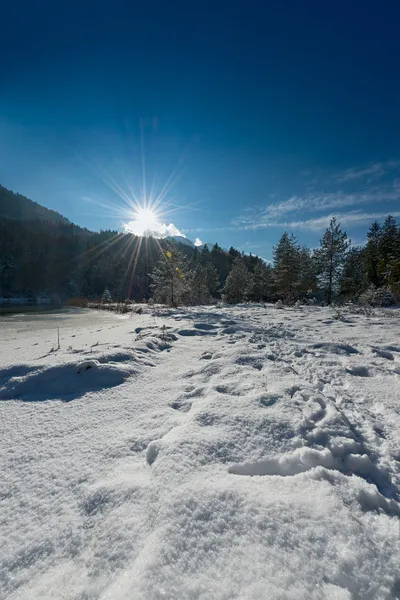 Las pistas en la nieve al paisaje invernal y el sol que brilla —  Fotos de Stock