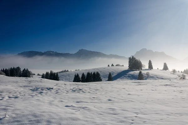 Koud en ijzig winterlandschap met besneeuwde heuvels en bomen — Stockfoto