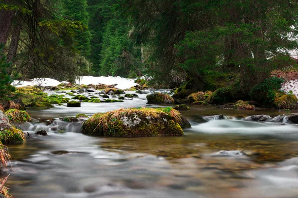 Stânci cu iarbă în apă curgătoare în pădurea ecologică — Fotografie, imagine de stoc