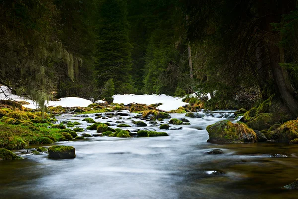 Tekoucí modrou vodu přes Les zelené přírody nad skály — Stock fotografie