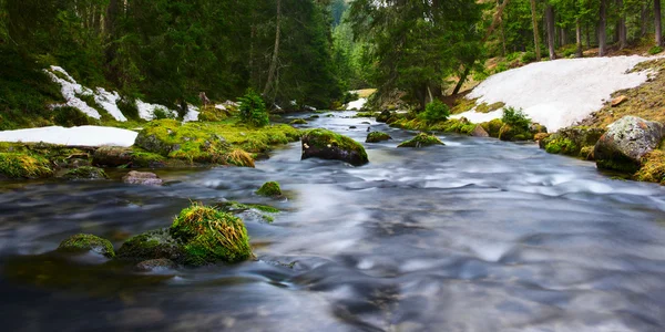 Water of river flows through mossy rocks and green nature landscape — Stock Photo, Image