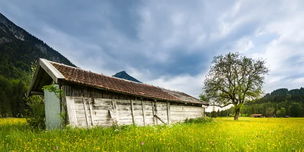 Cabana de madeira velha no prado verde com árvore fresca e flores — Fotografia de Stock