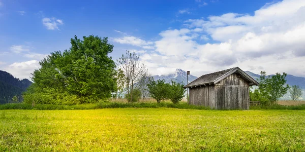 Small hut next green bushes and trees with mountain at meadow — Stock Photo, Image