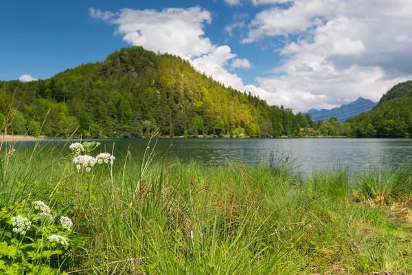 Blick über kleinen See mit blauem Wasser und grüner Blumenwiese — Stockfoto