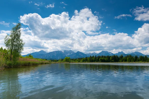 Jezioro hopfen am Zobacz z trzciny i słoneczny błękitne niebo z chmurami — Zdjęcie stockowe