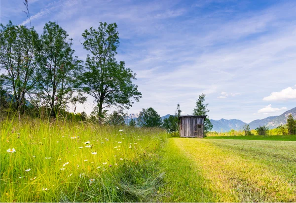 Grama aparada no prado de tirol rural com cabana de madeira velha na primavera — Fotografia de Stock