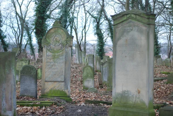 Jüdischer Friedhof — Stockfoto