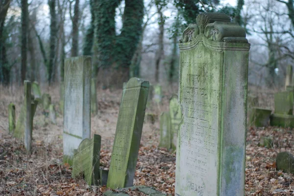 Jüdischer Friedhof — Stockfoto