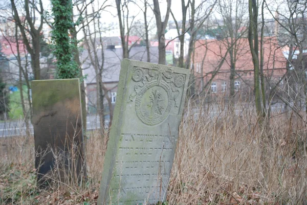 Židovský hřbitov — Stock fotografie