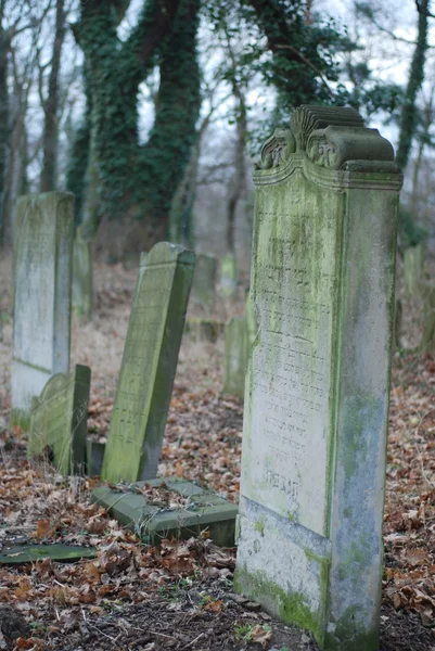 Cimitero ebraico — Foto Stock