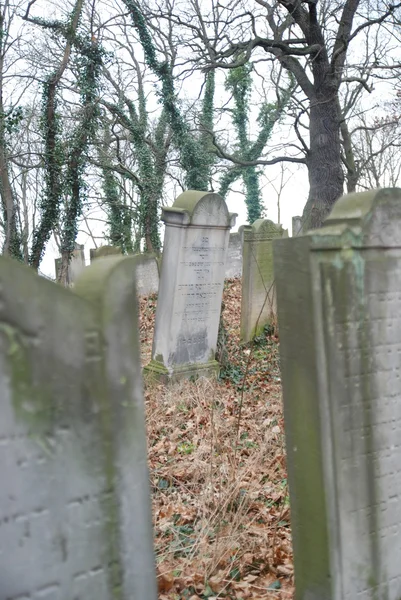 Jüdischer Friedhof — Stockfoto