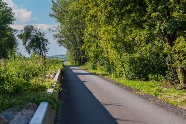 Asfalt döngü yolunun gittiği yer. Etrafta ağaçlar var..