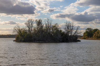 Göletin ortasındaki kuş adası. Ağaçlarda karabatak yuvaları.
