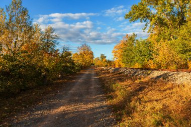 Hlohovec göletinin oradaki eski tren. Pistin etrafında ağaçlar var. Gökyüzü beyaz bulutlarla mavidir. Güneş doğada parlıyor..