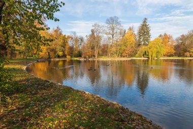 Castle Park - Sonbahar manzarası, güneşli ve renkli ağaçlı. Beyaz bulutlu mavi gökyüzü.