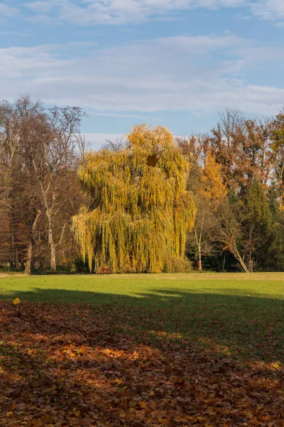 Zámecký Park Podzimní Krajina Sluncem Barevnými Stromy Modrá Obloha Bílými — Stock fotografie