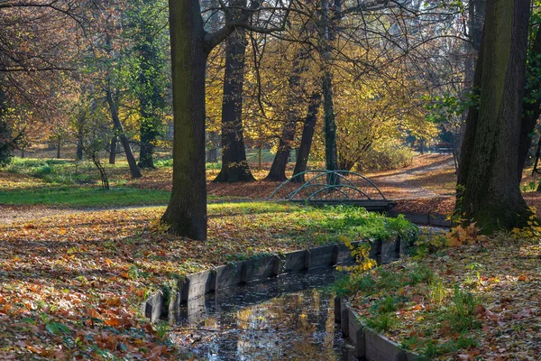 Schlosspark Herbstliche Landschaft Mit Sonne Und Bunten Bäumen Blauer Himmel — Stockfoto