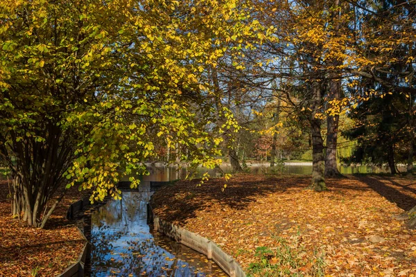 Zámecký Park Podzimní Krajina Sluncem Barevnými Stromy Modrá Obloha Bílými — Stock fotografie