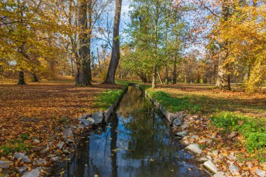Castle Park - Sonbahar manzarası, güneşli ve renkli ağaçlı. Beyaz bulutlu mavi gökyüzü.