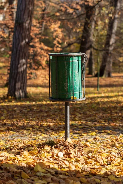 Bote Basura Verde Parque Forestal Otoño Parque Soleado Hay Hojas — Foto de Stock