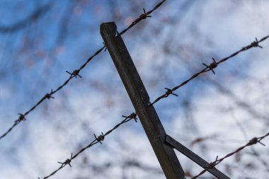 Duvardaki eski dikenli teller. Arka planda mavi gökyüzü var.