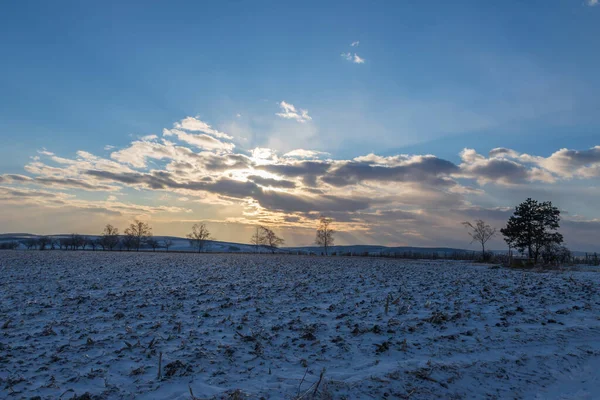 Beautiful Snowy Landscape South Moravia Czech Republic — Stock Photo, Image