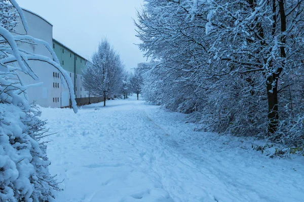Winterliche Schneelandschaft Der Stadt Schnee Auf Bäumen Straße Und Auto — Stockfoto