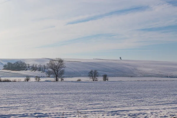Зимний Снежный Пейзаж Чехии Европе Голубое Небо Белыми Облаками — стоковое фото