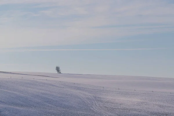 Peisaj Iarnă Zăpadă Republica Cehă Europa Cer Albastru Nori Albi — Fotografie, imagine de stoc