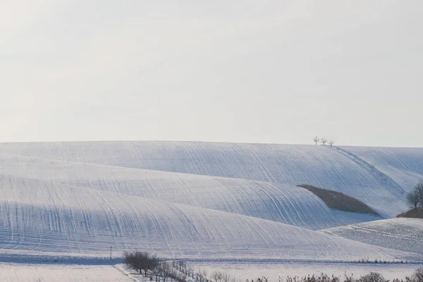 Çek Cumhuriyeti Nin Avrupa Daki Karlı Yuvarlanan Manzarası Beyaz Bulutlu — Stok fotoğraf