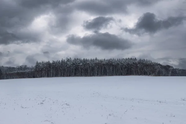 Paysage Enneigé Hiver Fait Nuageux Des Nuages Gris Dramatiques Dans — Photo