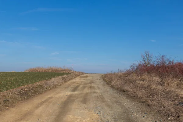 Spring Toprak Yolu. Yolun etrafında kuru otlar var. Gökyüzünde dramatik bulutlar var..
