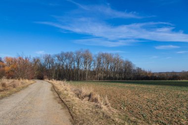 Kırsal kesimde elektrik dağıtımı için yüksek voltaj kutupları. Arka planda dramatik bulutlarla dolu mavi bir gökyüzü var..