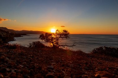 Avrupa 'daki Girit adasının yaz manzarası. Larapetra bölgesinde bir sahil. Arka planda bulutlu güneşli bir gökyüzü var..