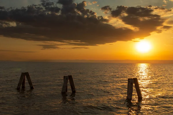 Poteaux Bois Comme Des Brise Lames Sur Lac Neusiedl Podersdorf — Photo